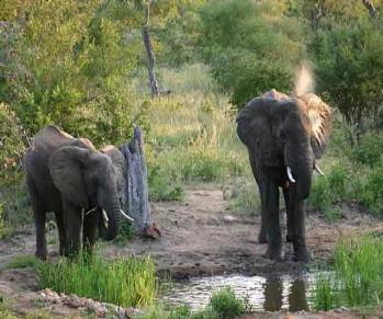 Amukela Game Lodge