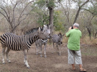 Grand Kruger Lodge