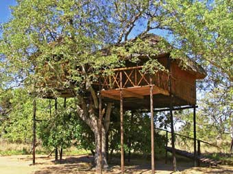 Pezulu Tree House Game Lodge