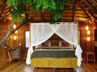 Pezulu Tree House Game Lodge