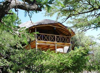 Pezulu Tree House Game Lodge