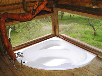 Pezulu Tree House Game Lodge