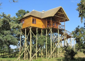 Pezulu Tree House Game Lodge