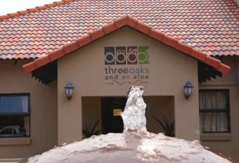 Three Oaks and an Aloe